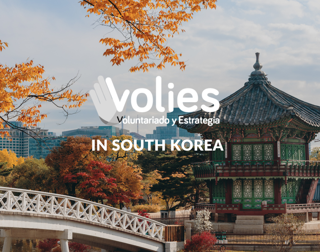Volies in Korea