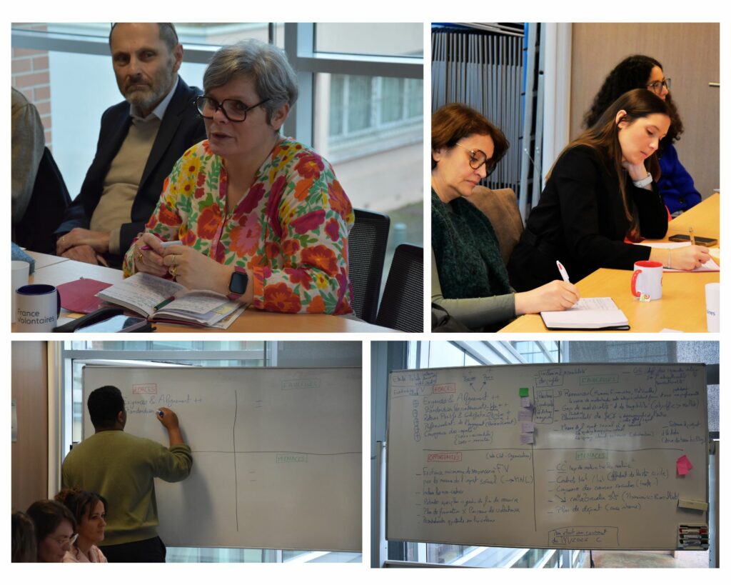 voluntariado corporativo en Francia Action Lab-Análisis DAFO