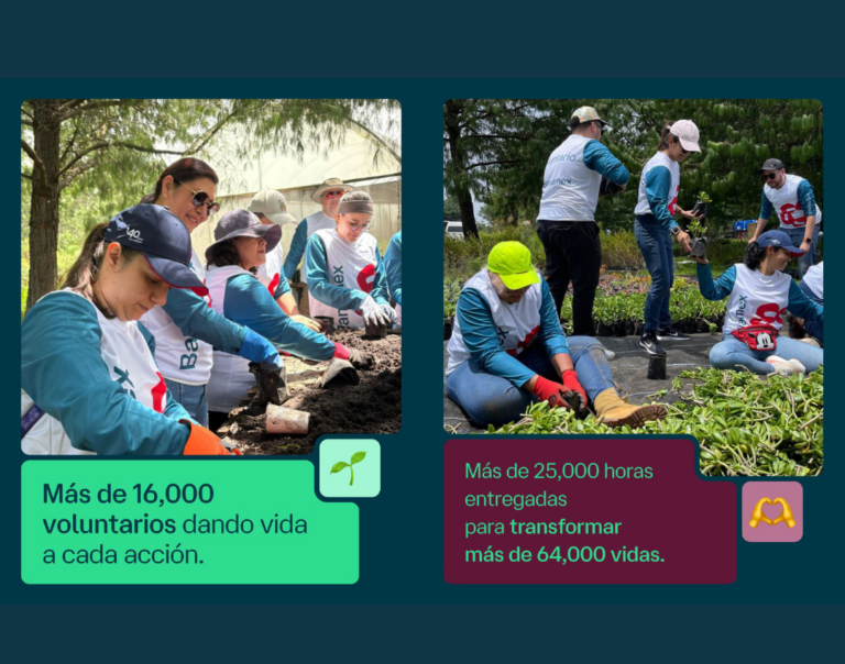 estrategia de voluntariado corporativo e impacto social